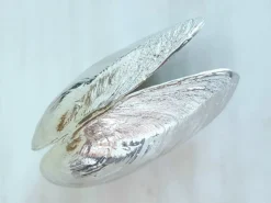 Anovi Zeeuwse Mosselschep