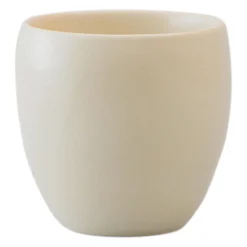 39Arita Dubbelwandige Kop, S crème