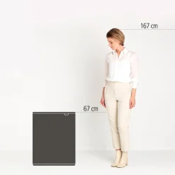 Brabantia Bo Touch Bin Afvalemmer, 2x30L groen