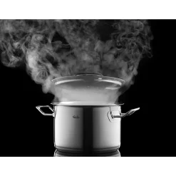Fissler Original-Profi Collection Pannenset met Steelpan en Glasdeksels, 5-delig