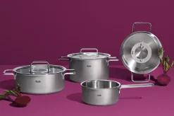 Fissler Pure Collection Koekenpan, 20cm