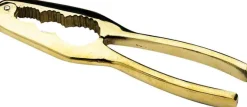 Kookpunt Eppiscotispai Notenkraker