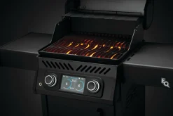 Napoleon Rogue EQ 365 Elektrische Barbecue, matzwart