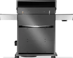 Napoleon Rogue PRO-S 525 RSIB Gasbarbecue RPS525RSIBPK-2-NL
