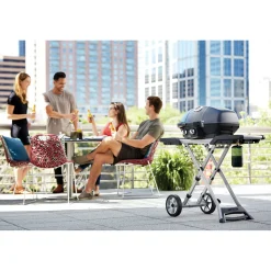 Napoleon TravelQ PRO285X Gasbarbecue met Inklapbaar Onderstel, zwart