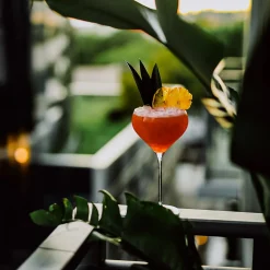 Nude Fantasy Cocktailglazen, 0,675L 2 stuks