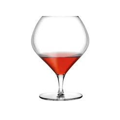 Nude Fantasy Cognacglazen, 0,87L 2 stuks