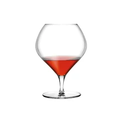 Nude Fantasy Cognacglazen, 0,87L 2 stuks