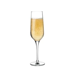 Nude Refine Champagneglazen, 0,2L 2 stuks