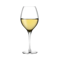 Nude Vinifera Wittewijnglazen, 0,36L 2 stuks