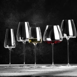 Zieher Vision Fresh Wijnglazen, 2 stuks