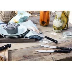 Zwilling Matteo Thun Steakmessenset, 6-delig