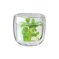 Zwilling Sorrento Theeglazen Dubbelwandig, 0,24L 2 stuks